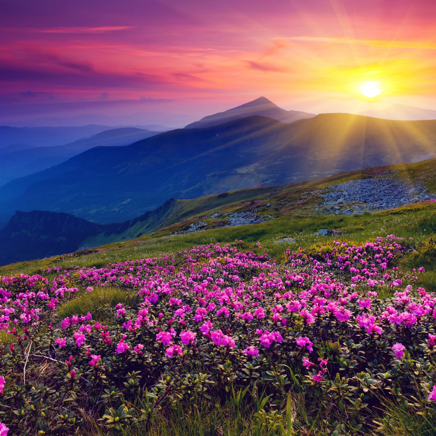 Create Your Own Mandala Kit - Purple Mountains