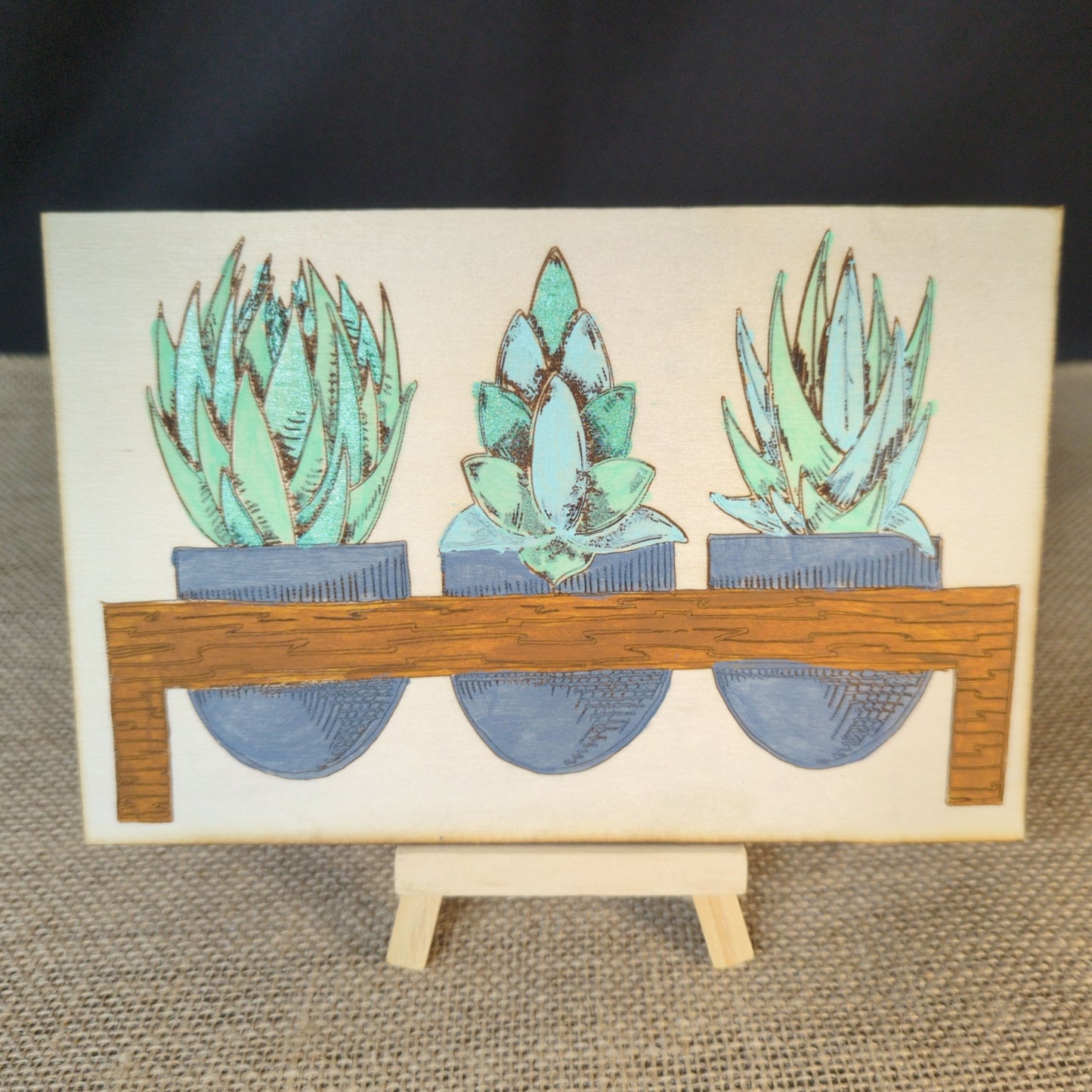 Succulents from the Brush & Birch Collection