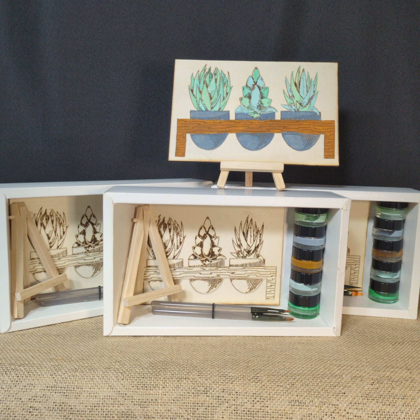 Succulents from the Brush & Birch Collection